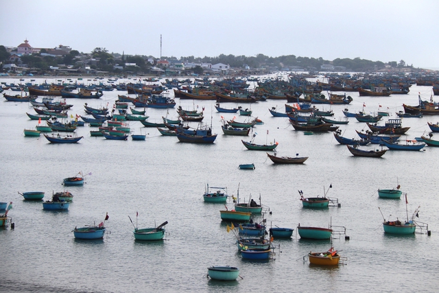 Quy hoạch Phan Thiết: Chiến lược ph&aacute;t triển đ&ocirc; thị ven biển đến năm 2050 - Ảnh 3.