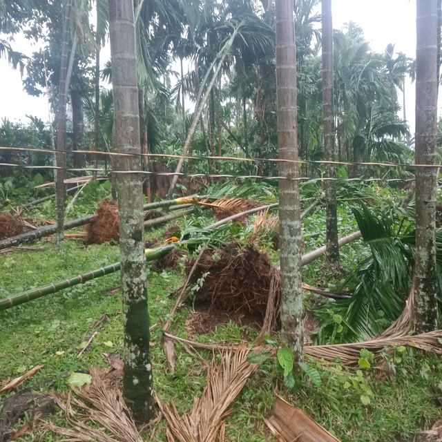 Lốc xo&aacute;y qu&eacute;t qua x&atilde; miền n&uacute;i Quảng Ng&atilde;i, hơn 100 căn nh&agrave; bị hư hại- Ảnh 2.