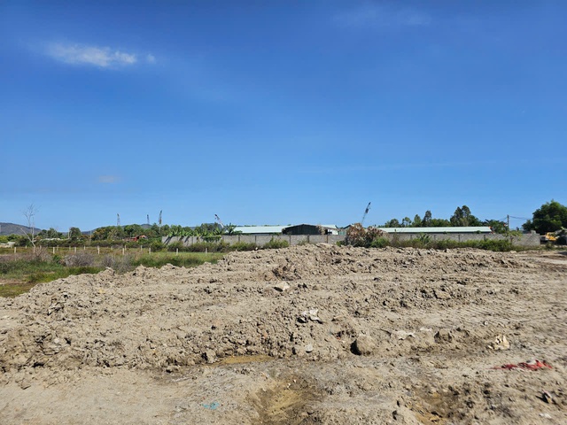 TP.HCM: Truy t&igrave;m nhiều xe ben chở b&ugrave;n, chất thải x&acirc;y dựng san lấp tr&aacute;i ph&eacute;p- Ảnh 5.