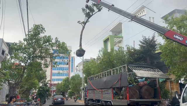 Tai nạn điện 3 pha tại Lâm Đồng khiến tài xế xe tải gắn cẩu tử vong - Ảnh 1. Tai nạn điện 3 pha tại Lâm Đồng khiến tài xế xe tải gắn cẩu tử vong - Ảnh 1.