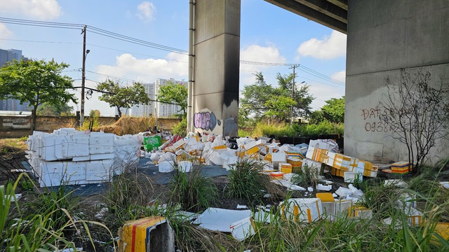 Rác bủa vây, đốt rác gây mất an toàn dưới chân cầu Phú Mỹ - Ảnh 4.