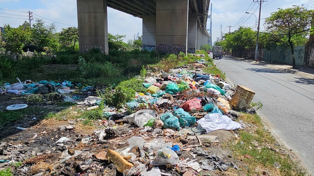 Rác bủa vây, đốt rác gây mất an toàn dưới chân cầu Phú Mỹ - Ảnh 3.