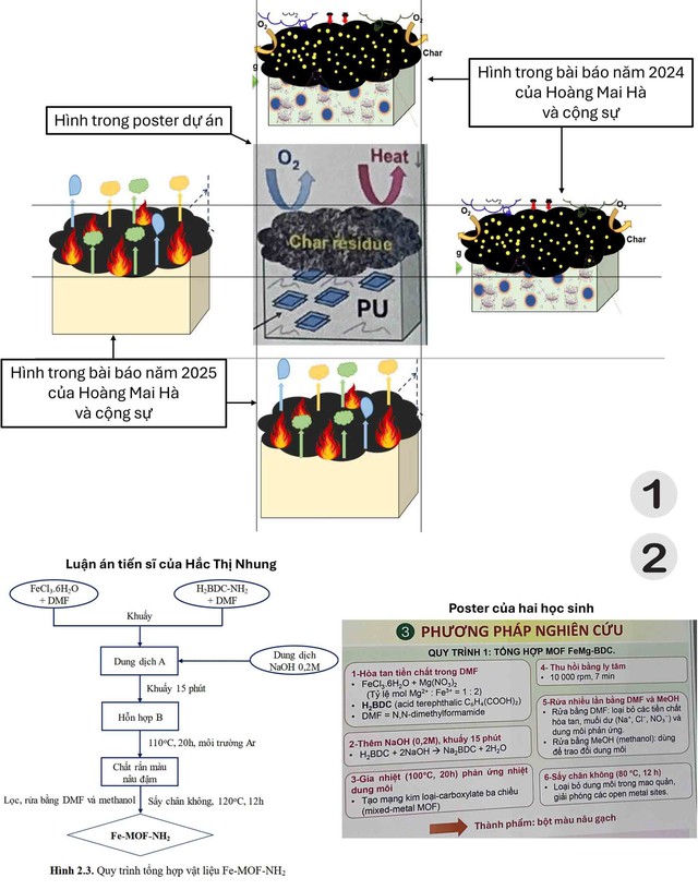 - Ảnh 1. - Ảnh 1.