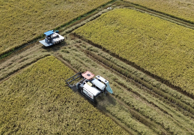 Doanh nghiệp 'nhường' lợi nhuận, c&ugrave;ng n&ocirc;ng d&acirc;n vượt 'b&atilde;o gi&aacute;' từ xung đột Trung Đ&ocirc;ng- Ảnh 2.