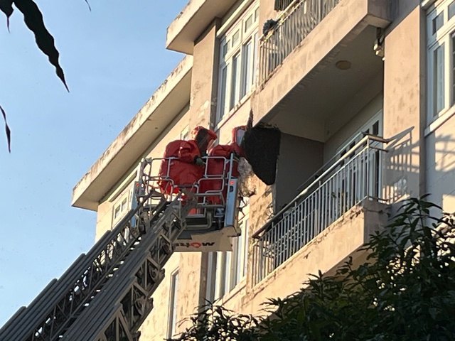 Kịp thời xử l&yacute; tổ ong 'khủng' trong khu d&acirc;n cư ở TP.HCM - Ảnh 1.