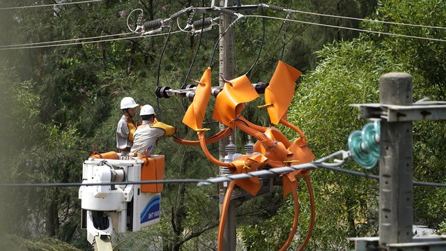 PC Quảng Trị nâng tầm sửa chữa ‘nóng’, giữ điện an toàn năm 2026 - Ảnh 2.