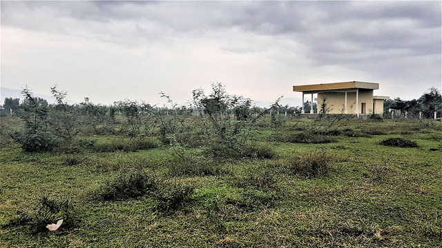 S&acirc;n vận động thi c&ocirc;ng dang dở rồi bỏ hoang- Ảnh 1.