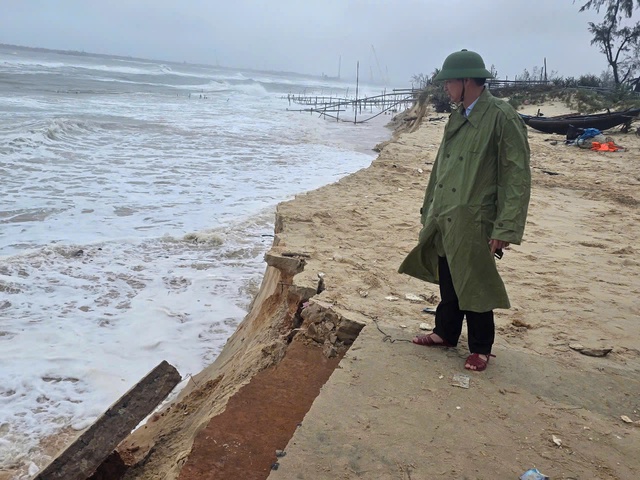 Triều cường dâng cao, bờ biển Mỹ Thủy sạt lở hơn 250 m- Ảnh 1. Triều cường dâng cao, bờ biển Mỹ Thủy sạt lở hơn 250 m- Ảnh 1.