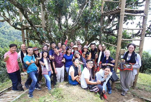 Nỗi niềm tr&agrave; di sản: Ngậm ng&ugrave;i số phận 'cụ tr&agrave;' 001- Ảnh 1.