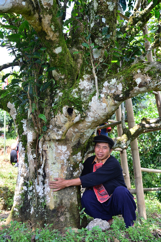 Nỗi niềm tr&agrave; di sản: Ngậm ng&ugrave;i số phận 'cụ tr&agrave;' 001- Ảnh 3.