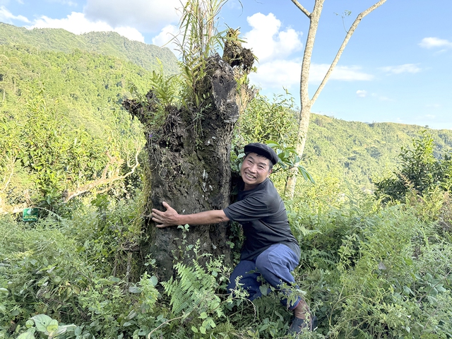 Nỗi niềm tr&agrave; di sản: Ngậm ng&ugrave;i số phận 'cụ tr&agrave;' 001- Ảnh 4.