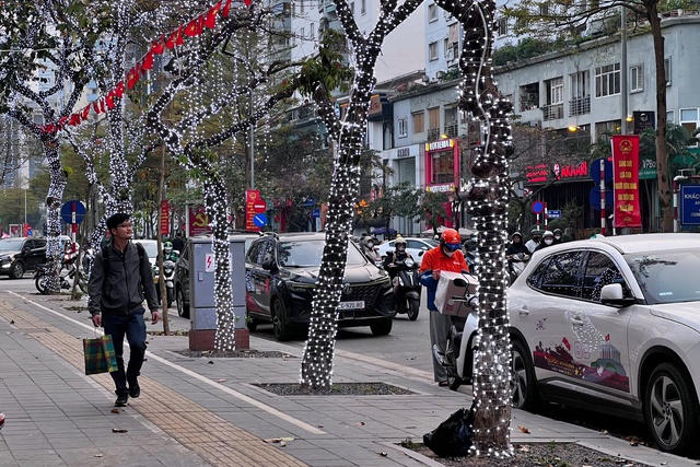 H&agrave; Nội muốn người d&acirc;n khi giăng đ&egrave;n trang tr&iacute; l&ecirc;n c&acirc;y xanh phải xin ph&eacute;p - Ảnh 1.