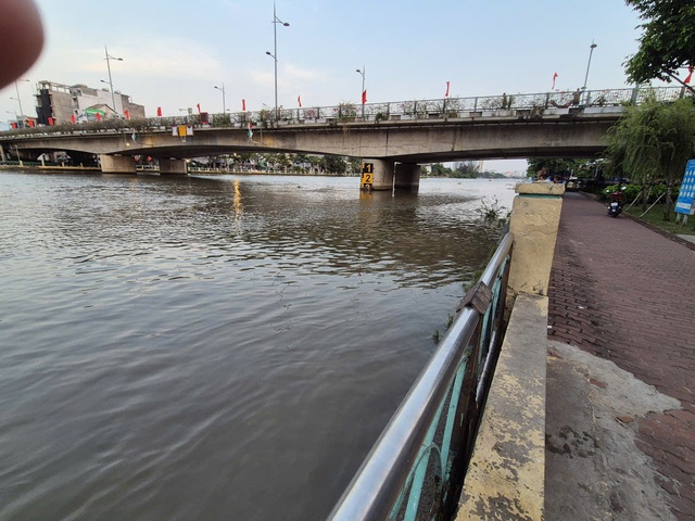 Chuyện phóng sinh và cái vòng luẩn quẩn - Ảnh 1.