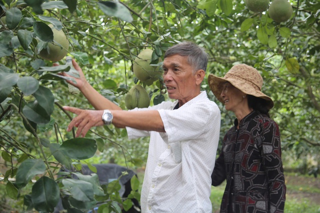 Quỹ hỗ trợ cộng đồng David Dương gi&uacute;p người d&acirc;n vươn l&ecirc;n l&agrave;m gi&agrave;u - Ảnh 1.