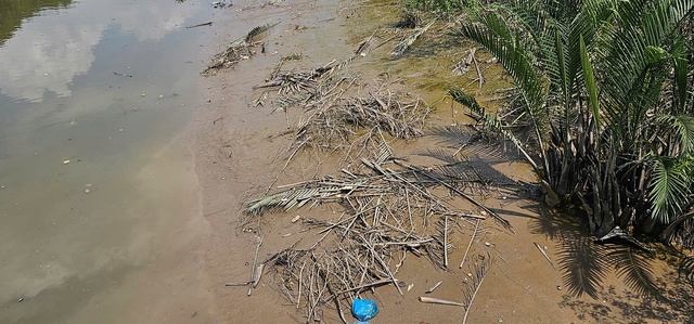Cắt tỉa cây xanh, dừa nước rồi 'bỏ quên' dưới sông Thầy Tiêu gây ô nhiễm - Ảnh 3.
