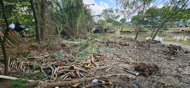 Cắt tỉa cây xanh, dừa nước rồi 'bỏ quên' dưới sông Thầy Tiêu gây ô nhiễm - Ảnh 2.