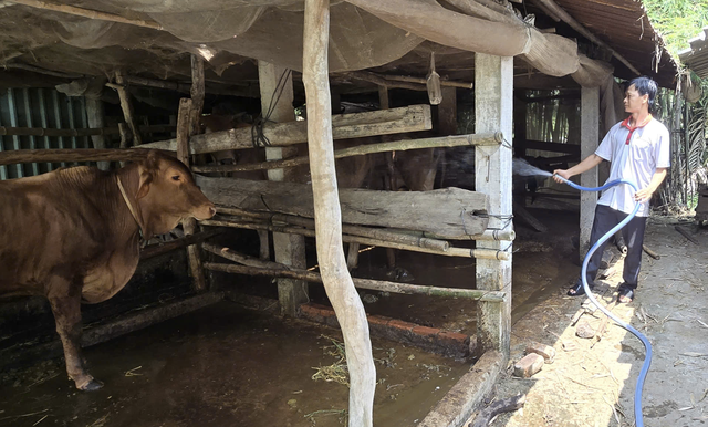 Quỹ hỗ trợ cộng đồng David Dương gi&uacute;p người d&acirc;n vươn l&ecirc;n l&agrave;m gi&agrave;u - Ảnh 5.