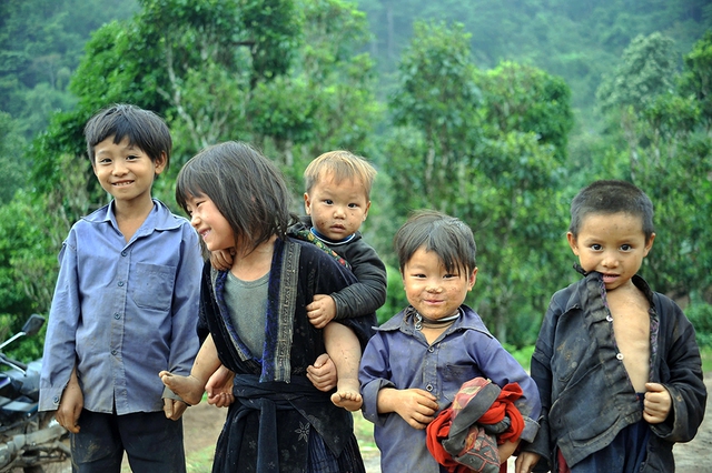 Nỗi niềm tr&agrave; di sản 2026 bia di sản ' bức tử ' c&acirc;y tr&agrave; q&uacute;y tr&agrave; Shan tuyết - Ảnh 2.