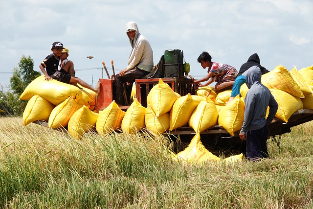 Tin tức đặc biệt trên báo in Thanh Niên 7.3.2026  - Ảnh 2.