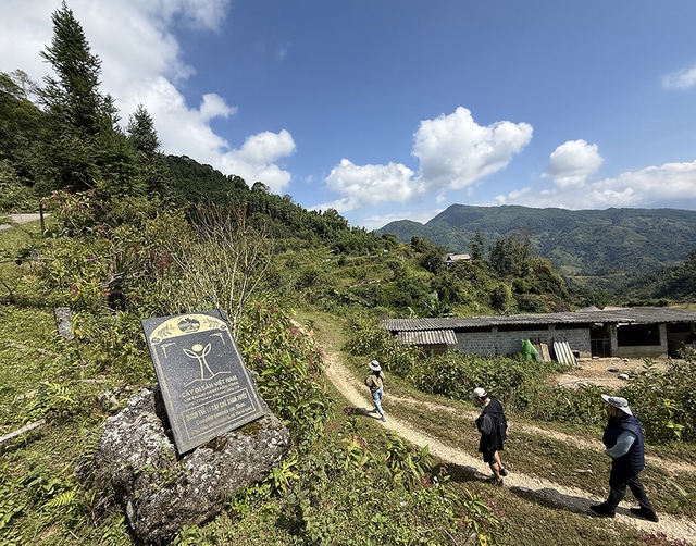 Chặt c&agrave;nh b&uacute;p t&iacute;m, bỏ qu&ecirc;n P&agrave; C&ograve;- Ảnh 1.