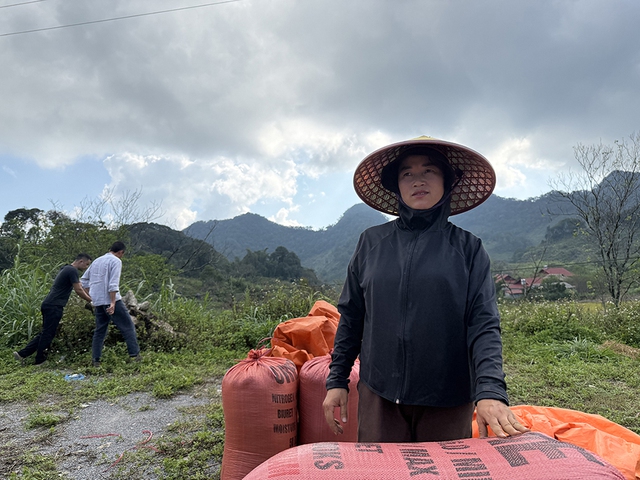 Chặt c&agrave;nh b&uacute;p t&iacute;m, bỏ qu&ecirc;n P&agrave; C&ograve;- Ảnh 6.
