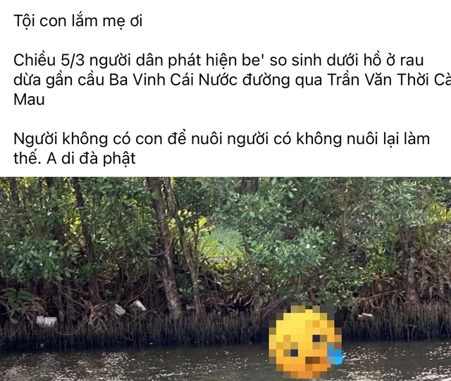 Bé 12 tuổi đang đi chơi phát hiện thi thể trẻ sơ sinh trên sông Ba Vinh- Ảnh 1.