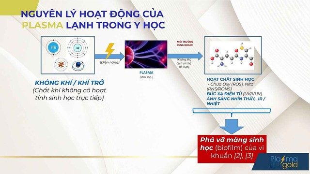 Cold Plasma trong hỗ trợ phục hồi vết thương: Cơ chế v&agrave; ứng dụng l&acirc;m s&agrave;ng - Ảnh 2.