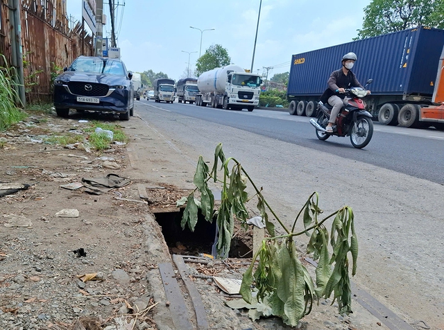 Mương tho&aacute;t nước bị sụp nắp đậy- Ảnh 1.