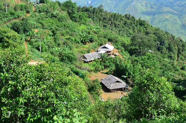 Nỗi niềm tr&agrave; di sản ở T&agrave; X&ugrave;a: Kh&aacute;m ph&aacute; hương vị tr&agrave; Shan tuyết độc đ&aacute;o - Ảnh 8.