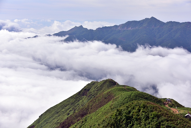 Nỗi niềm tr&agrave; di sản ở T&agrave; X&ugrave;a: Kh&aacute;m ph&aacute; hương vị tr&agrave; Shan tuyết độc đ&aacute;o - Ảnh 5.