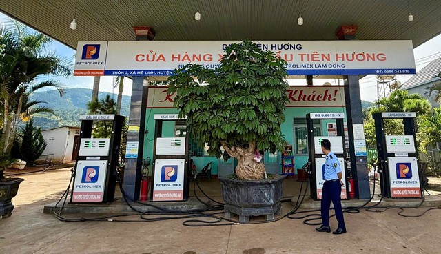 L&acirc;m Đồng chưa ph&aacute;t hiện t&igrave;nh trạng găm xăng dầu- Ảnh 1.