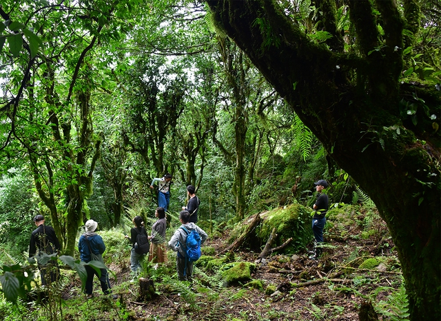Nỗi niềm tr&agrave; di sản: Phải sinh lợi, kh&ocirc;ng sinh&hellip; bệnh!- Ảnh 6.