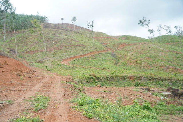 Di tích Truông Mây, nơi những người nông dân đứng dậy khởi nghĩa - Ảnh 1.
