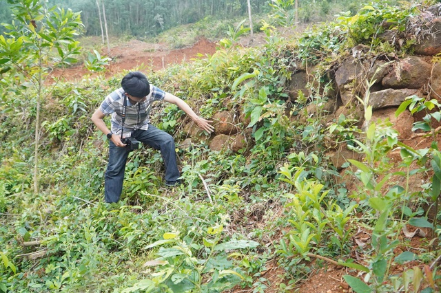 Di tích Truông Mây, nơi những người nông dân đứng dậy khởi nghĩa - Ảnh 4.