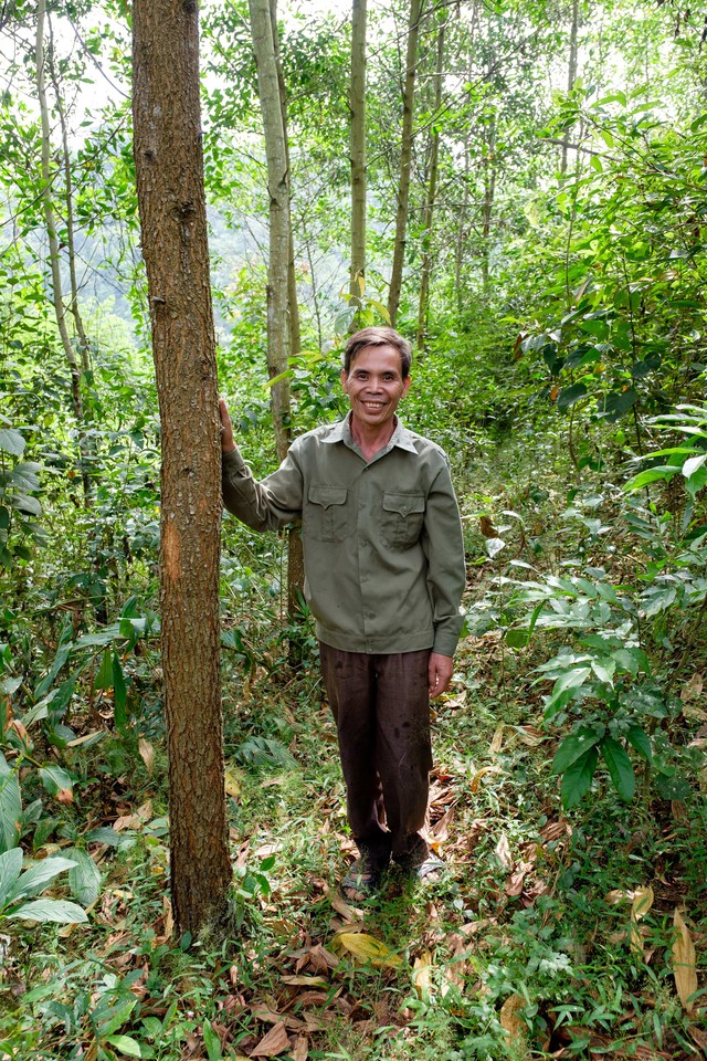 Việt Nam thu th&ecirc;m gần 72 triệu USD nhờ 'b&aacute;n kh&ocirc;ng kh&iacute; sạch' - Ảnh 1.