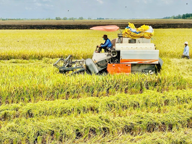 Ẩn số gi&aacute; ph&acirc;n b&oacute;n trong nước- Ảnh 2.