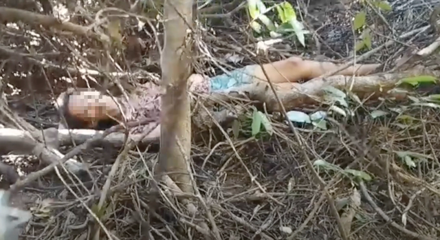 Người phụ nữ mất t&iacute;ch 10 ng&agrave;y được c&ocirc;ng an t&igrave;m thấy trong rừng s&acirc;u - Ảnh 1.