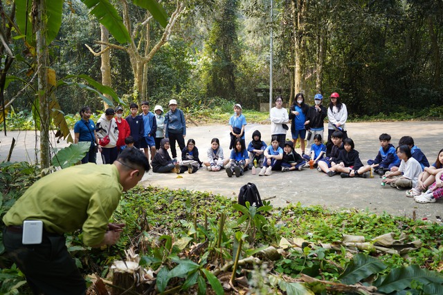 Trải nghiệm rừng C&uacute;c Phương ban đ&ecirc;m v&agrave; t&aacute;c động đến động vật - Ảnh 2.
