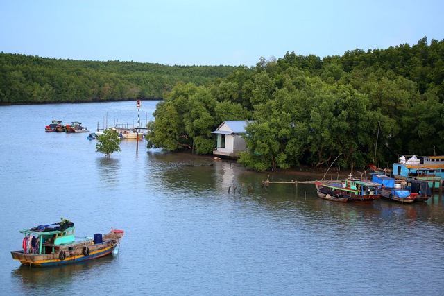 Vingroup đề xuất mở rộng gần gấp đôi đường Rừng Sác đi Cần Giờ - Ảnh 1.
