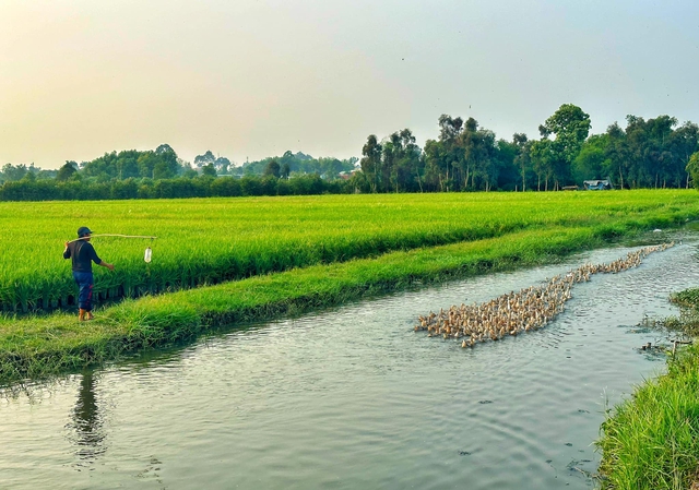 Lịch âm hôm nay: Ngày 11.4 là ngày gì mà nhiều người mong 'may mắn gõ cửa'? - Ảnh 2.