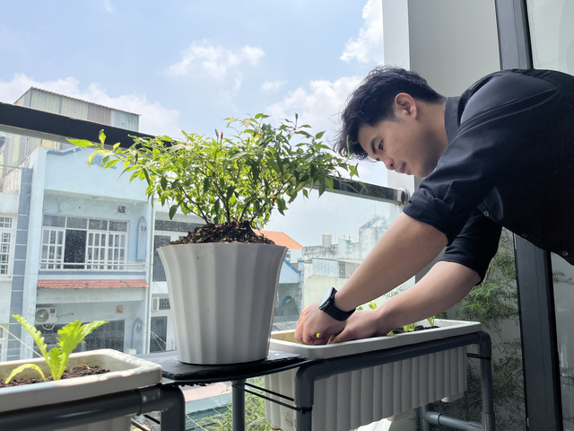 Giữa mùa nắng nóng gay gắt, vì sao người trẻ đổ xô trồng cây ở ban công? - Ảnh 1.