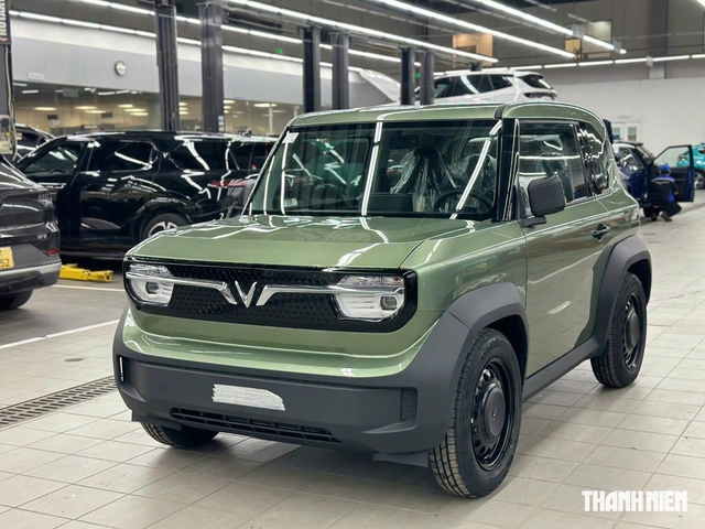 VinFast VF 3 trở thành xe điện bán chạy nhất tháng 7, bỏ xa Limo Green - Ảnh 1.
