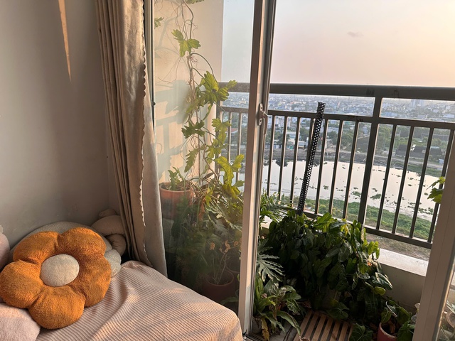 Giữa mùa nắng nóng gay gắt, vì sao người trẻ đổ xô trồng cây ở ban công? - Ảnh 4.