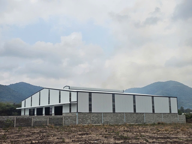 - Ảnh 1. - Ảnh 1.