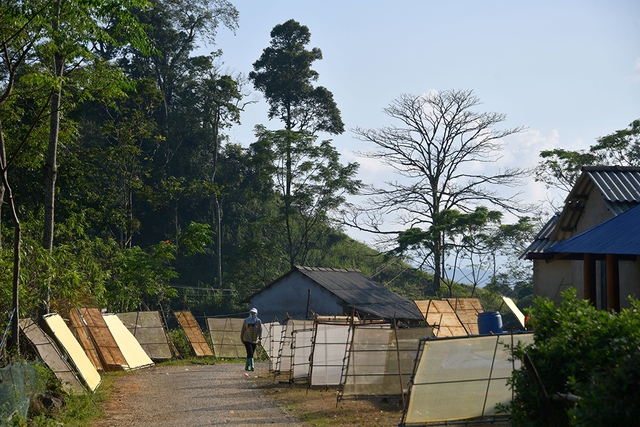 Giấy giang Pà Cò, khi hồn rừng về phố thị- Ảnh 1. Giấy giang Pà Cò, khi hồn rừng về phố thị- Ảnh 1.