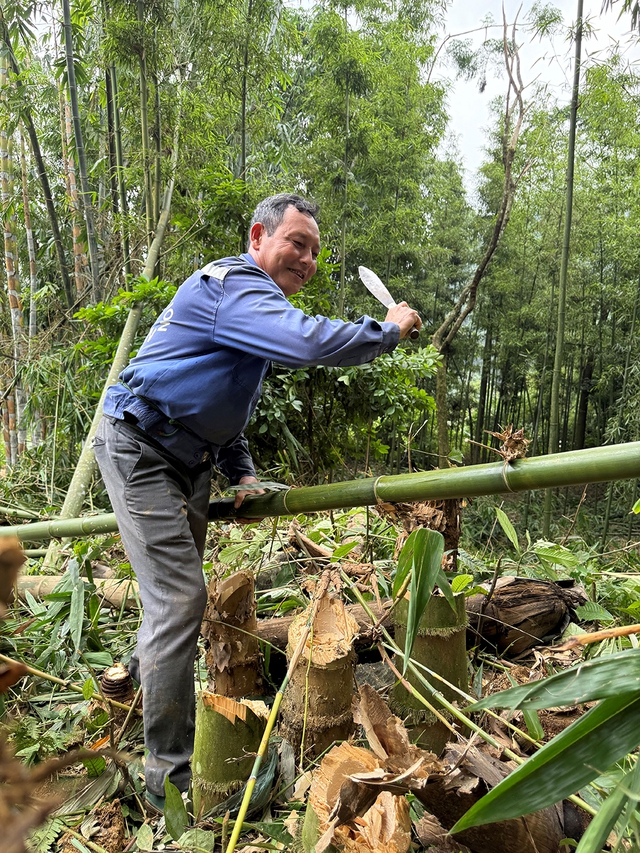 Giấy giang Pà Cò, khi hồn rừng về phố thị- Ảnh 3. Giấy giang Pà Cò, khi hồn rừng về phố thị- Ảnh 3.