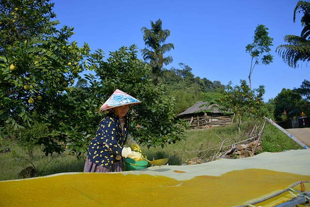 Giấy giang Pà Cò, khi hồn rừng về phố thị- Ảnh 7. Giấy giang Pà Cò, khi hồn rừng về phố thị- Ảnh 7.