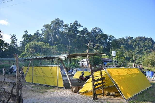 Giấy giang Pà Cò, khi hồn rừng về phố thị- Ảnh 9. Giấy giang Pà Cò, khi hồn rừng về phố thị- Ảnh 9.