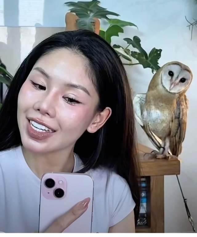 Cô gái cứu chim cú lợn bị gãy cánh và hành trình cảm động của Hoa Cúc - Ảnh 1. Cô gái cứu chim cú lợn bị gãy cánh và hành trình cảm động của Hoa Cúc - Ảnh 1.