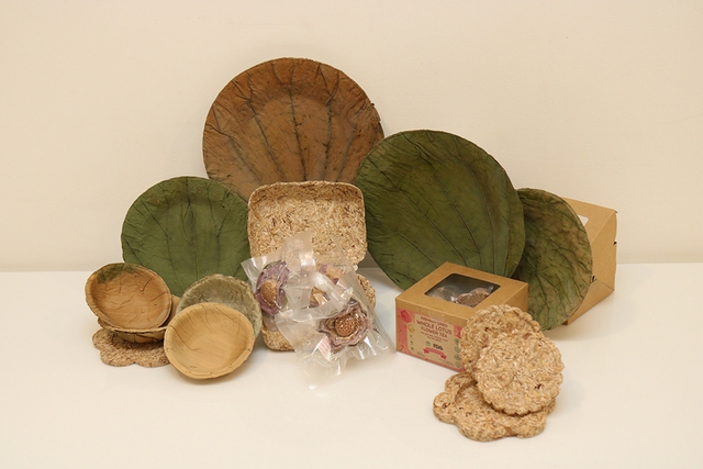 Bao b&igrave; sinh học từ lục b&igrave;nh: Giải ph&aacute;p khởi nghiệp của nh&oacute;m sinh vi&ecirc;n Cần Thơ - Ảnh 2.